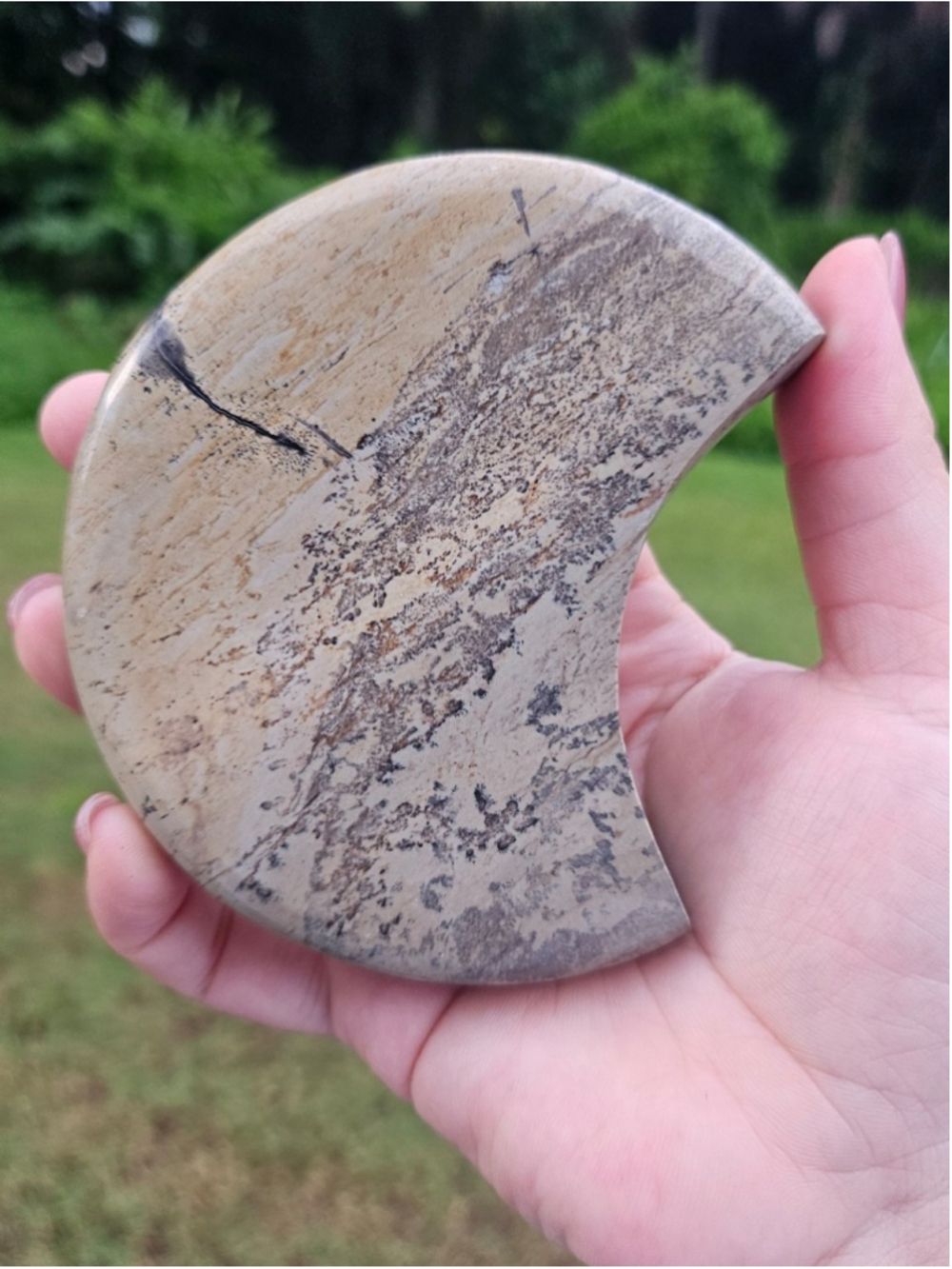 Picture jasper moon 4 in